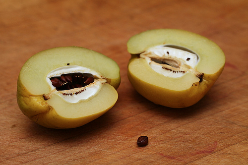 Inside the quince Quince Jam