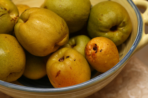 Quince fruits Quince Jam