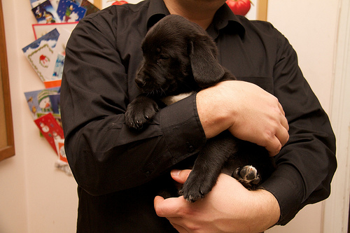 A little white toe action going on Luna - Day 1 - 6.5 wks old