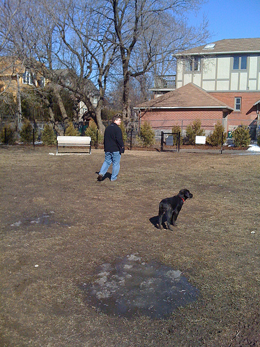 Chris and Luna in the mud Chris & Luna at Ledbury Dog Park