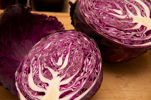 Red cabbage makes a fabulous blue Natural Dyes for Easter Eggs