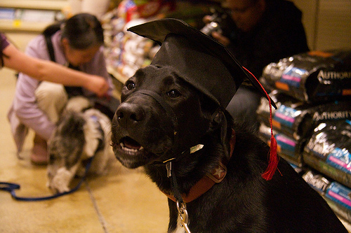 Luna - Graduation!