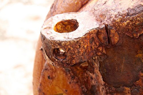 Rusting gun barrel, in Cape Spear