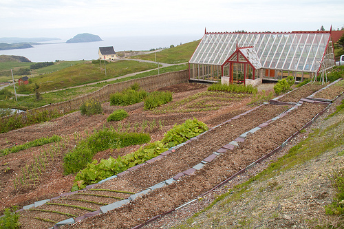 Fisher's Loft Inn greenhouse and gardens