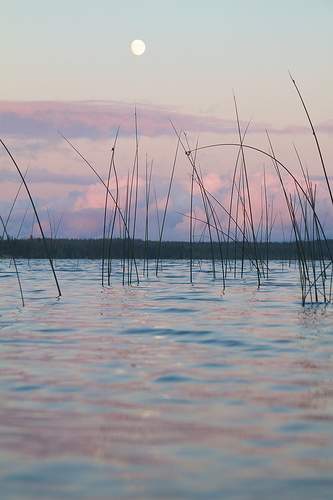 Moonrise on Caribou Bay Wabakimi 2010