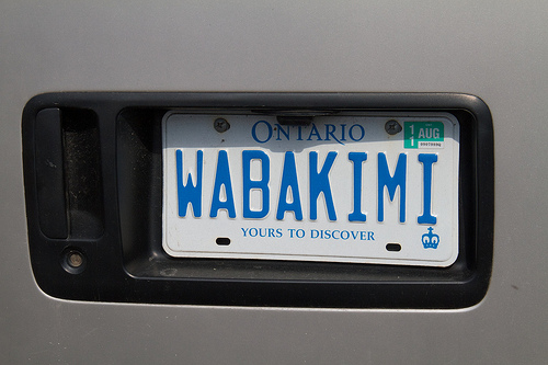 Wabakimi 2010