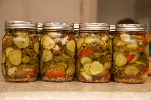 Sliced Garlic Dills Garlic Dill Pickles