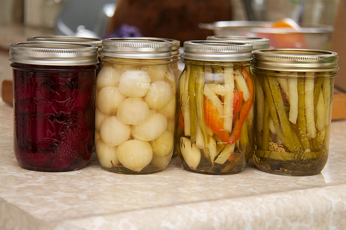 Adventures in Pickling