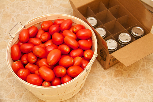 Bushel of tomatoes