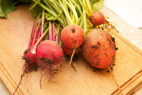 Chioggia and Golden Beets Heirloom beets