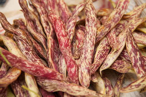 Dragon's Tongue Beans