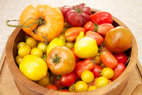 Tomato gluteny Tomato gluteny