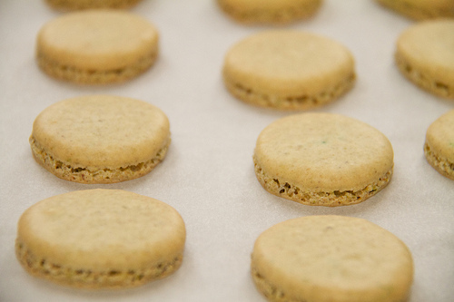 Second batch; better colour Second batch; better colour