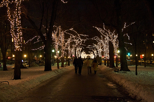 Commonwealth Ave on New Year's Eve Commonwealth Ave on New Year's Eve