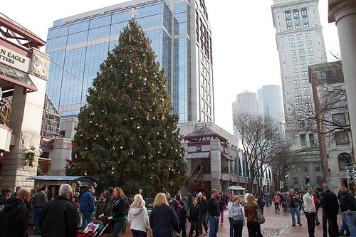 Enormous Christmas Tree, gifted from Halifax