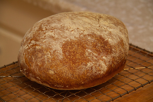 A loaf of not-so-sour bread