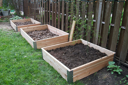 Three new raised beds, awaiting dirt Three new raised beds, awaiting dirt