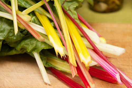 Rainbow Swiss Chard Rainbow Swiss Chard