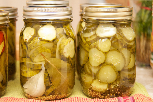 Garlic dills Garlic dills