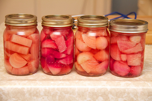 Pickled Chioggia Beets