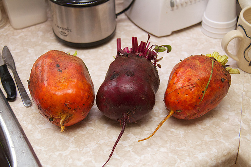 Overgrown beets