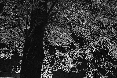 Christmas evening snow Christmas evening snow