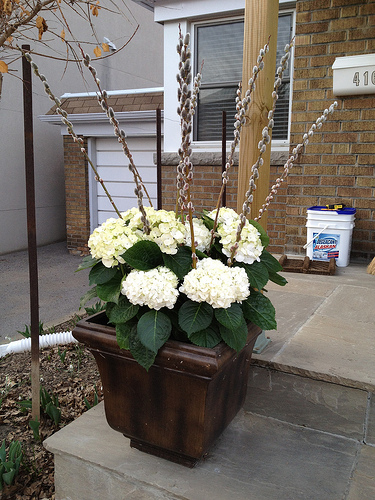 Spring planters