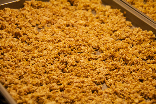 Spent Grain, to be dried