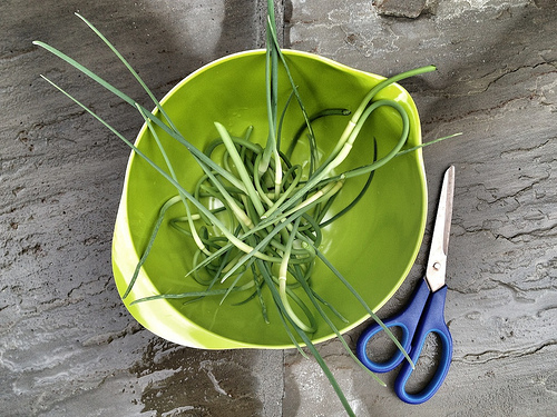 Garlic Scapes