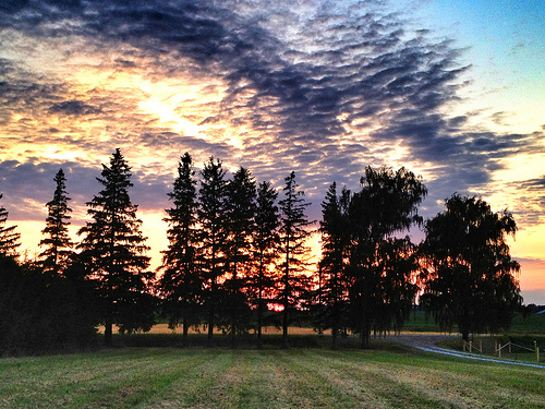 Summer sunset at the Farm