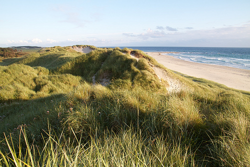 At the beach in Nærbø, Norway