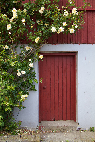 At my friend's childhood home in Nærbø, Norway