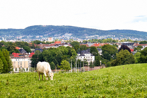 Bygdøy Royal Farm