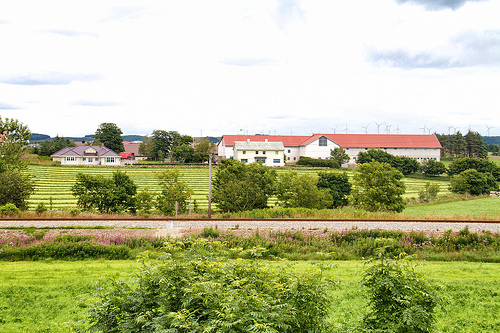 Nils's farm in Jæren