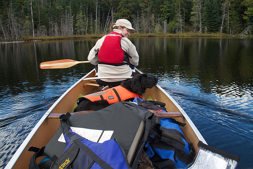 At home, in the boat