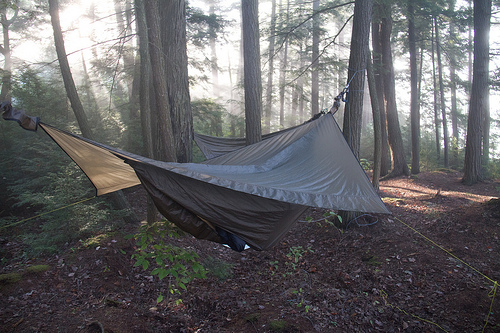 Hennessey Hammock