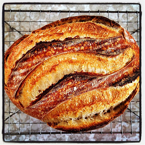 Sourdough bread made with Arva flour