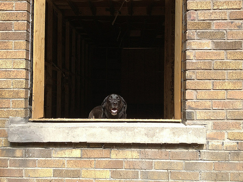 Luna approved window hole