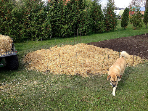 Fall planting time