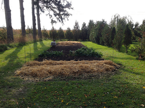 Fall planting time