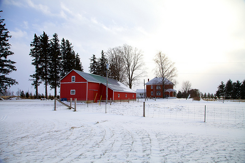 Winter Farm