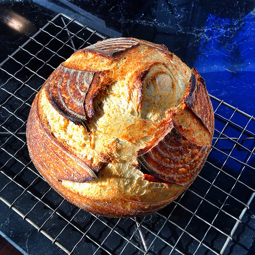 Sourdough