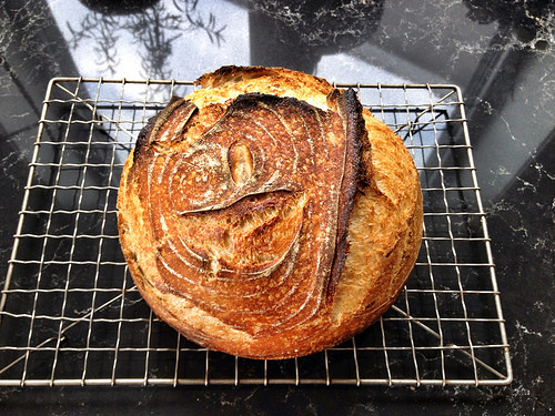 Sourdough