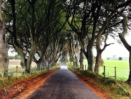 The Dark Hedges, Northern Ireland