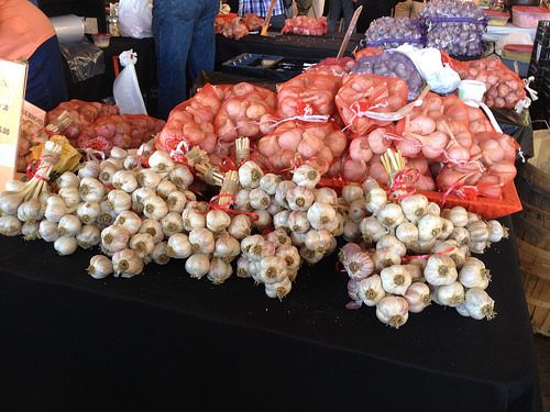 Toronto Garlic Festival